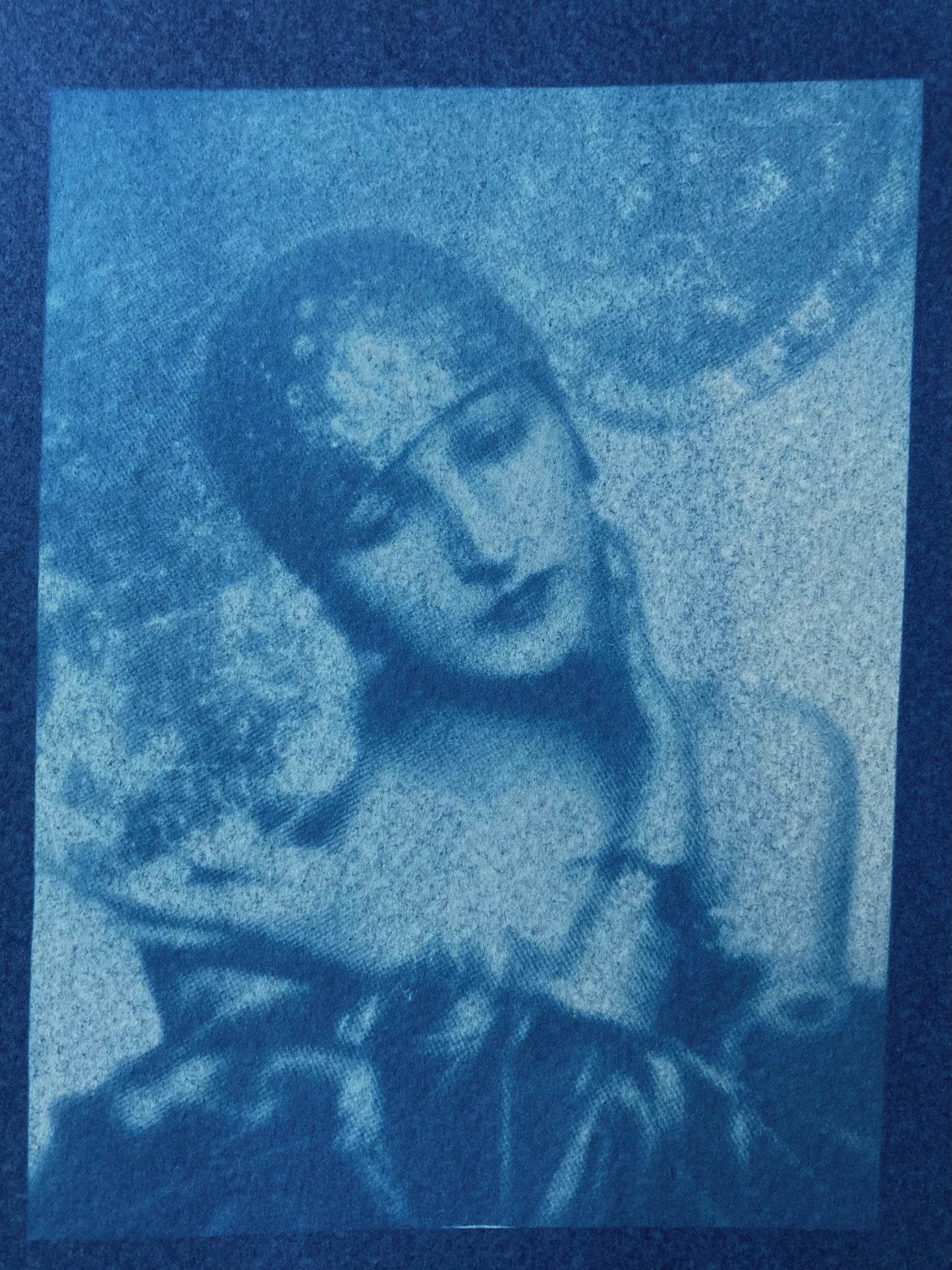 Cyanotype "Leila" version 1