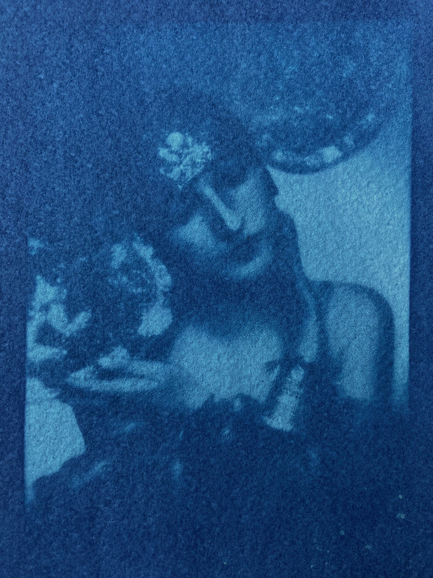 Cyanotype "Leila" version 3